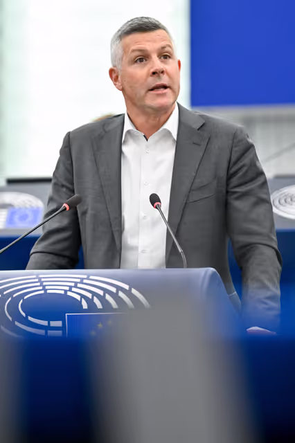 EP Plenary Session - Guidelines for the 2027 Budget - Section III