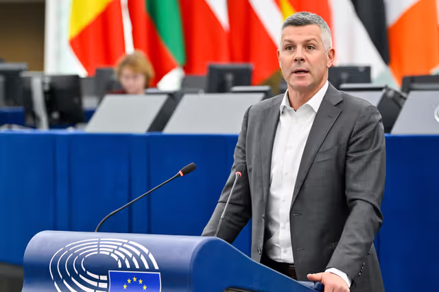 EP Plenary Session - Guidelines for the 2027 Budget - Section III