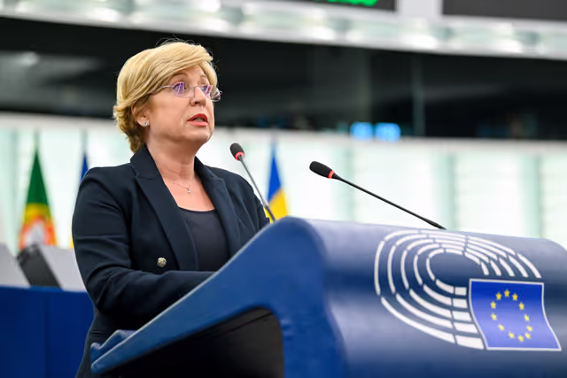 EP Plenary Session - Guidelines for the 2027 Budget - Section III