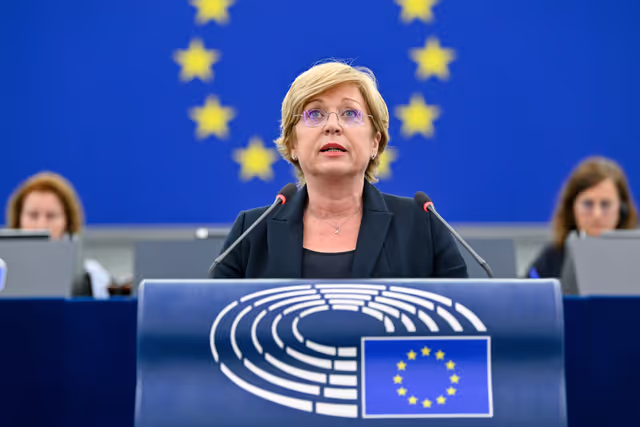 EP Plenary Session - Guidelines for the 2027 Budget - Section III