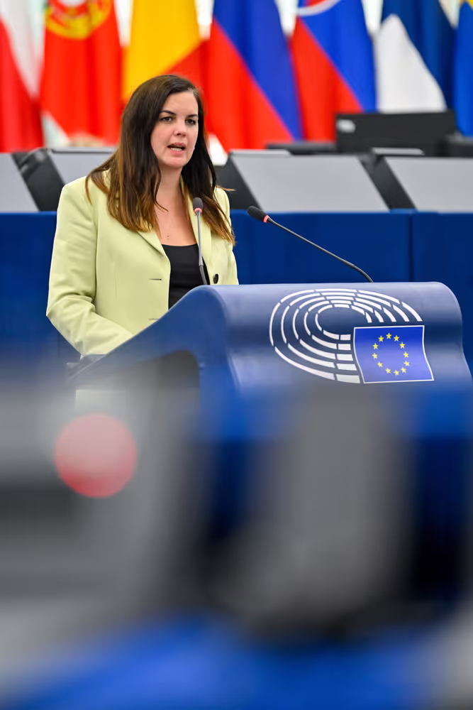 EP Plenary Session - Guidelines for the 2027 Budget - Section III