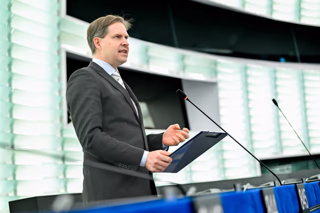 EP Plenary Session - Guidelines for the 2027 Budget - Section III