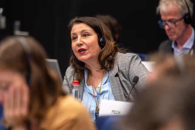 Conference of Committee Chairs