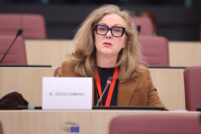 8th EU-Bosnia and Herzegovina SAPC meeting