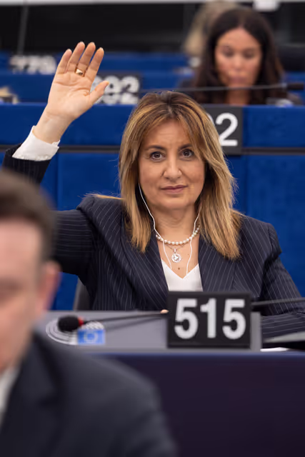 Photo 50: EP Plenary Session- Voting session