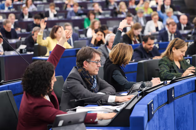 Photo 12: EP Plenary Session - Voting session