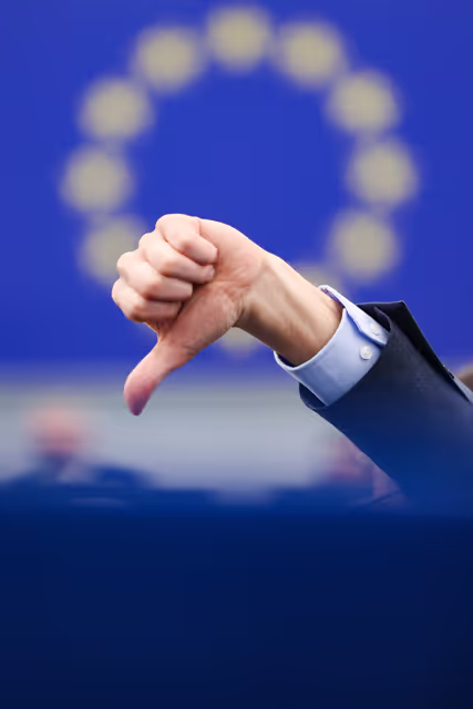 Photo 8: EP Plenary Session - Voting session
