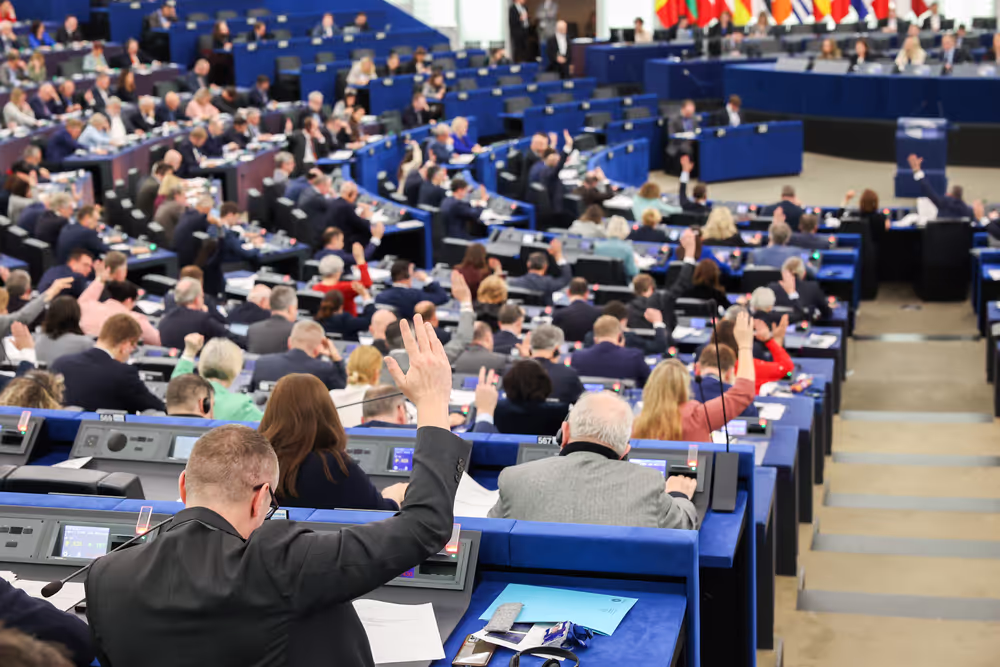 EP Plenary Session - Voting session