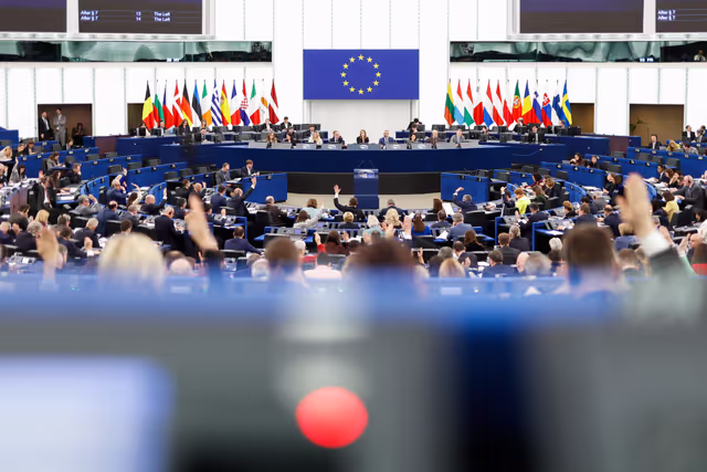 EP Plenary Session - Voting session