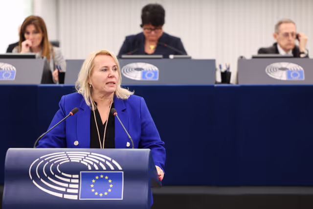 EP Plenary Session - Package travel and linked travel arrangements