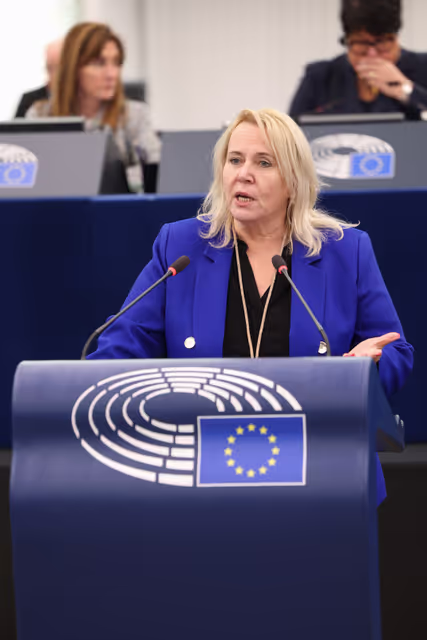 EP Plenary Session - Package travel and linked travel arrangements