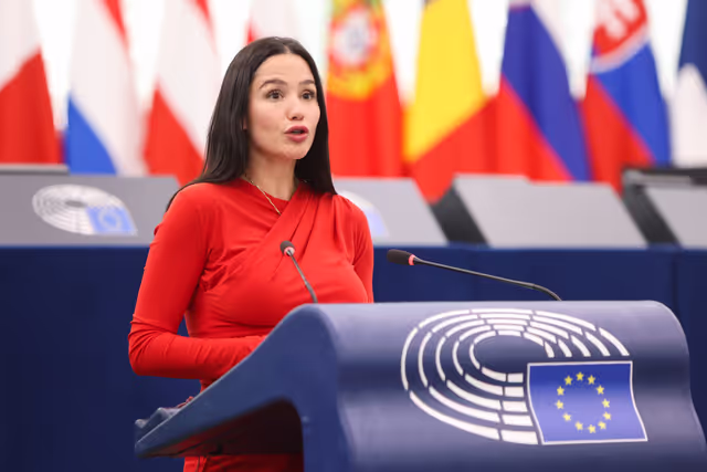 EP Plenary Session - Multilateral negotiations in view of the WTO’s 14th Ministerial Conference in Yaoundé, 26 to 29 March 2026