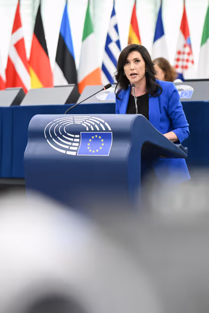 EP Plenary Session - Rise of political violence, notably by far-left organisations