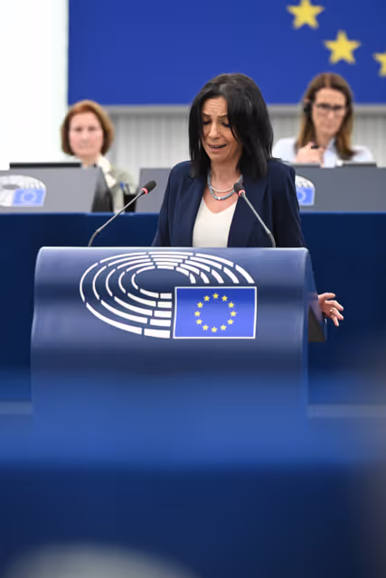 Photo 14: EP Plenary Session - AccessibleEU and the strategy for the rights of persons with disabilities