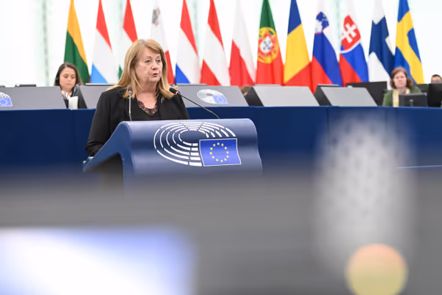 Photo 13: EP Plenary Session - AccessibleEU and the strategy for the rights of persons with disabilities