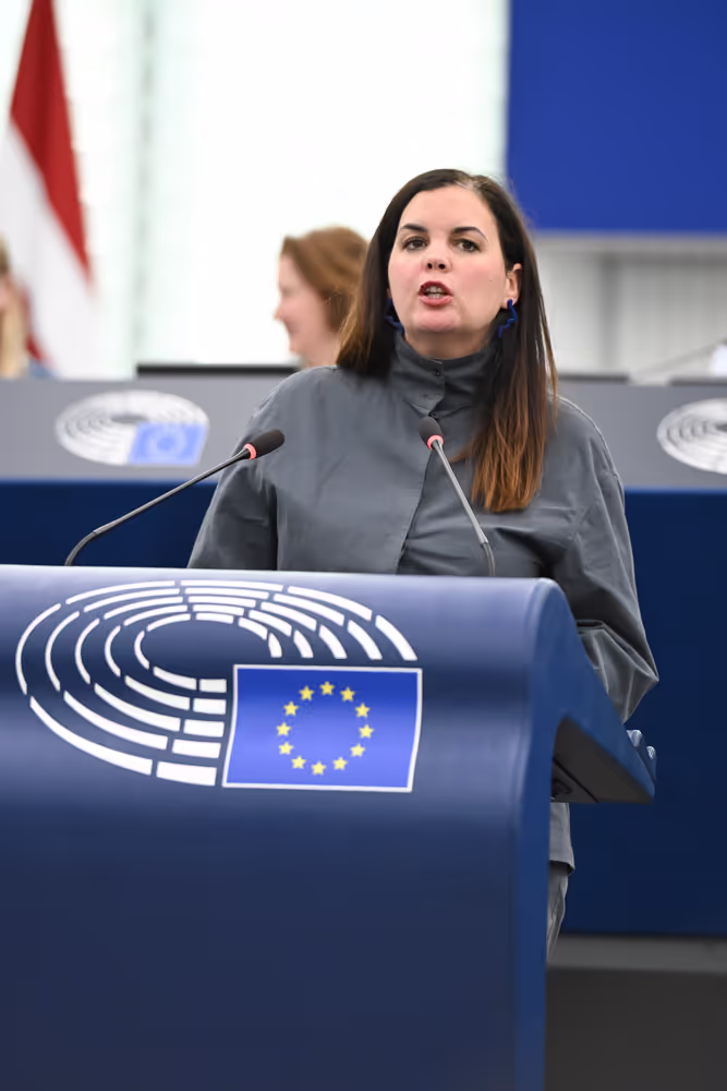 EP Plenary Session - AccessibleEU and the strategy for the rights of persons with disabilities