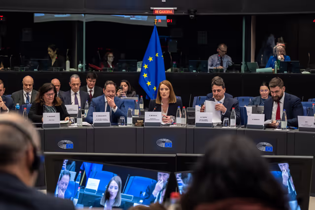 EP delegation to the Conciliation Committee meeting