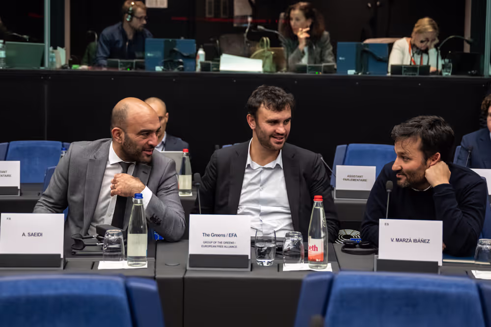 EP delegation to the Conciliation Committee meeting