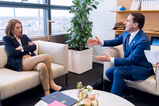 Roberta METSOLA, EP President meets with Sigitas MITKUS, Lithuanian Vice-Minister of Foreign Affairs