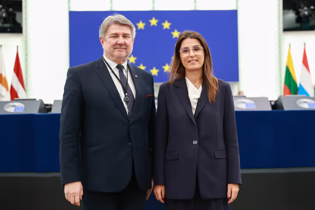 EP Plenary Session - Activities of the European Ombudsman – annual report