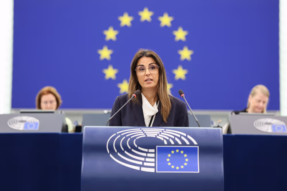 EP Plenary Session - Activities of the European Ombudsman – annual report