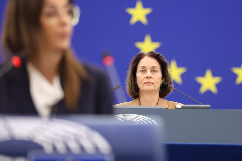EP Plenary Session - Activities of the European Ombudsman – annual report