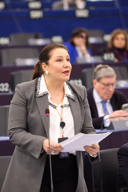 EP Plenary session - Rail transport safety in the EU – lessons learnt from the Adamuz accident and three years after the Tempi tragedy