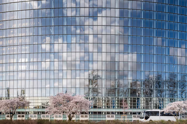 Strasbourg's Plenary session through the lens - Week 11