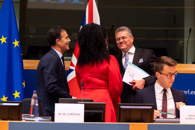 Fotografia 22: 7th EU-UK Parliamentary Partnership Assembly