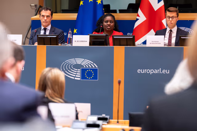 Fotografia 24: 7th EU-UK Parliamentary Partnership Assembly