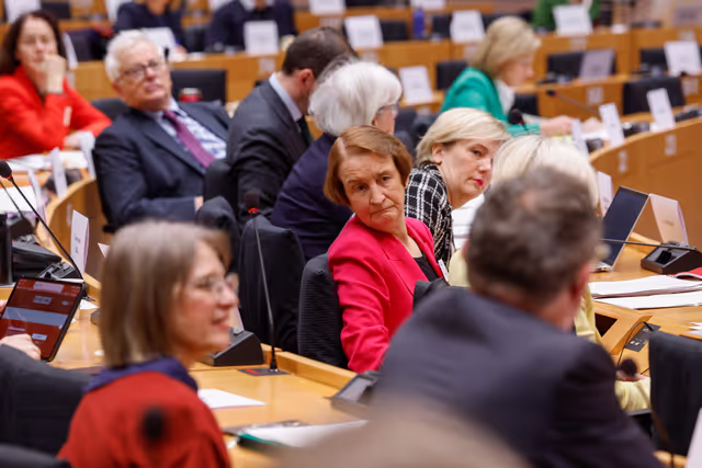 Nuotrauka 9: 7th EU-UK Parliamentary Partnership Assembly