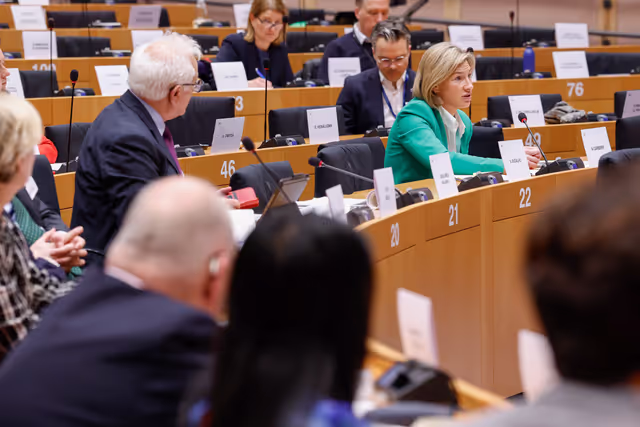 Nuotrauka 7: 7th EU-UK Parliamentary Partnership Assembly