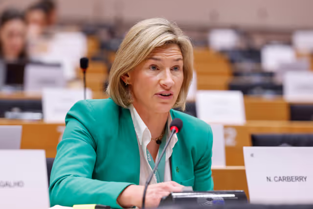 Nuotrauka 8: 7th EU-UK Parliamentary Partnership Assembly