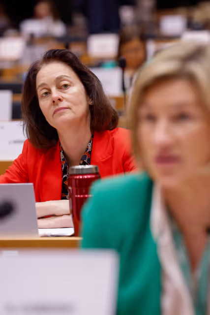 Nuotrauka 6: 7th EU-UK Parliamentary Partnership Assembly