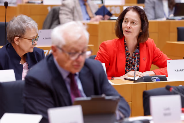 Nuotrauka 2: 7th EU-UK Parliamentary Partnership Assembly