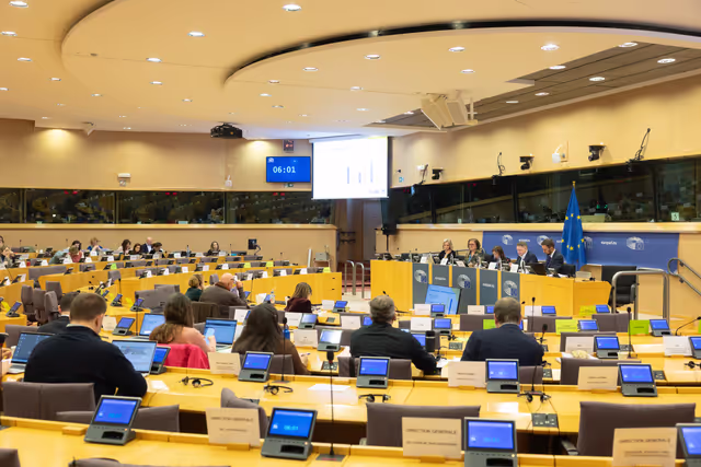 Fotografi 18: EMPL - Presentation of the EURES Report on labour shortages and surpluses 2025