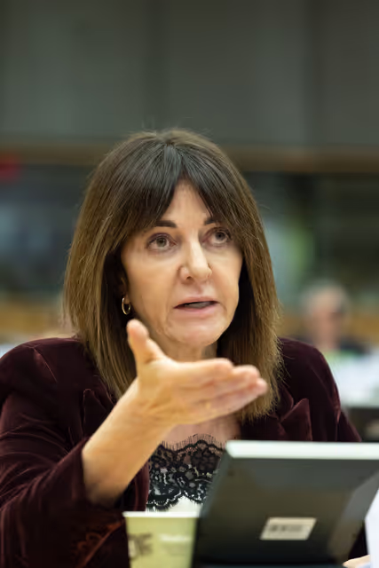 Fotografi 13: EMPL - Presentation of the EURES Report on labour shortages and surpluses 2025