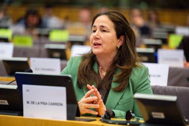 EMPL - Exchange of views with Roxana Mînzatu, Executive Vice-President for Social Rights and Skills, Quality Jobs and Preparedness