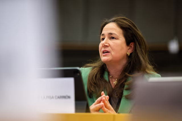 EMPL - Exchange of views with Roxana Mînzatu, Executive Vice-President for Social Rights and Skills, Quality Jobs and Preparedness