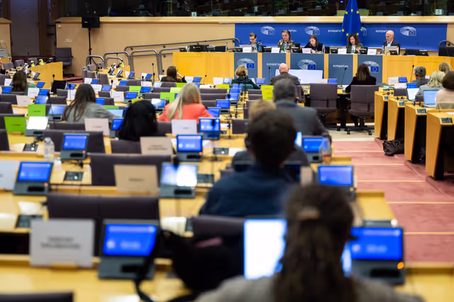 EMPL - Exchange of views with Roxana Mînzatu, Executive Vice-President for Social Rights and Skills, Quality Jobs and Preparedness