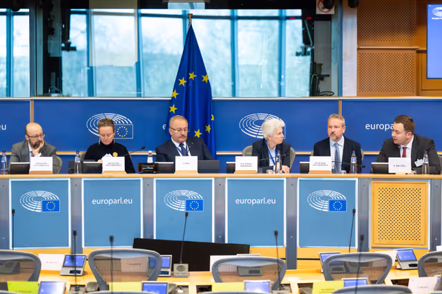 SEDE EUDS - Joint Exchange of Views with Members of the Parliament of Moldova on Strengthening Democratic Resilience, Security and Defence