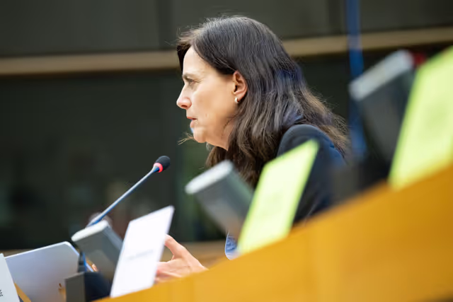 SEDE EUDS - Joint Exchange of Views with Members of the Parliament of Moldova on Strengthening Democratic Resilience, Security and Defence