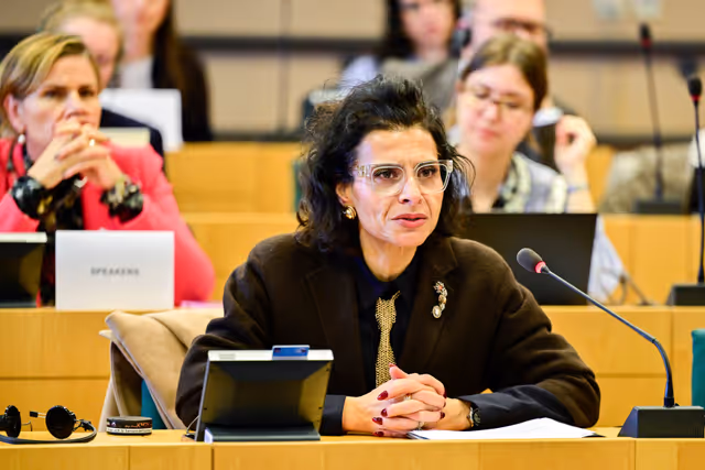 DEVE - Structured dialogue on the Commission Work Programme -  Exchange of views with Hadja Lahbib, Commissioner for Equality; Preparedness and Crisis Management