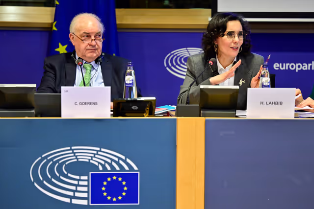 DEVE - Structured dialogue on the Commission Work Programme -  Exchange of views with Hadja Lahbib, Commissioner for Equality; Preparedness and Crisis Management