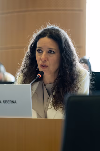 REGI - Union Civil Protection Mechanism