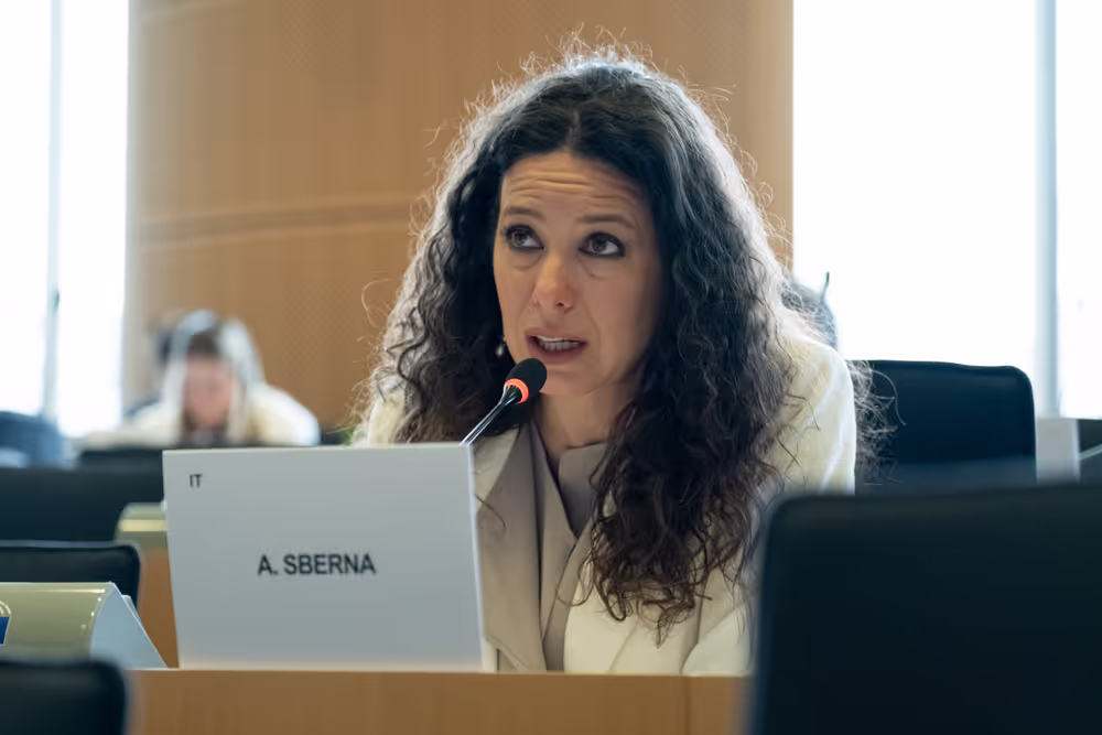 REGI - Union Civil Protection Mechanism