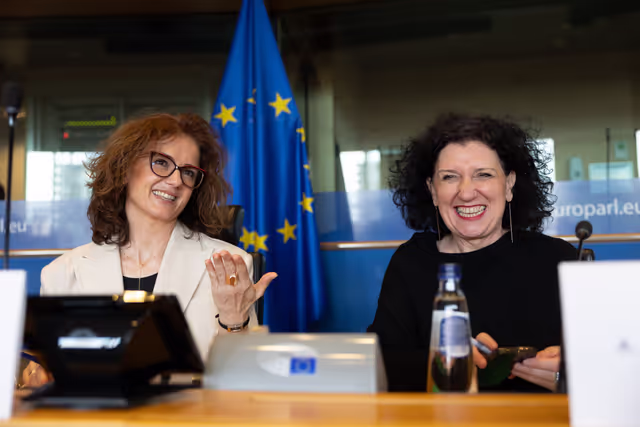 REGI - ECA Review 5/2025 on Smart specialization strategies, presentation by Annemie Turtelboom