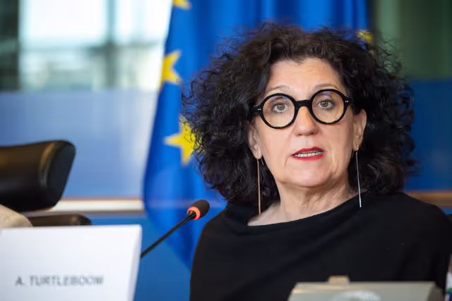 REGI - ECA Review 5/2025 on Smart specialization strategies, presentation by Annemie Turtelboom