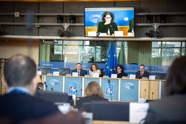 REGI - ECA Review 5/2025 on Smart specialization strategies, presentation by Annemie Turtelboom