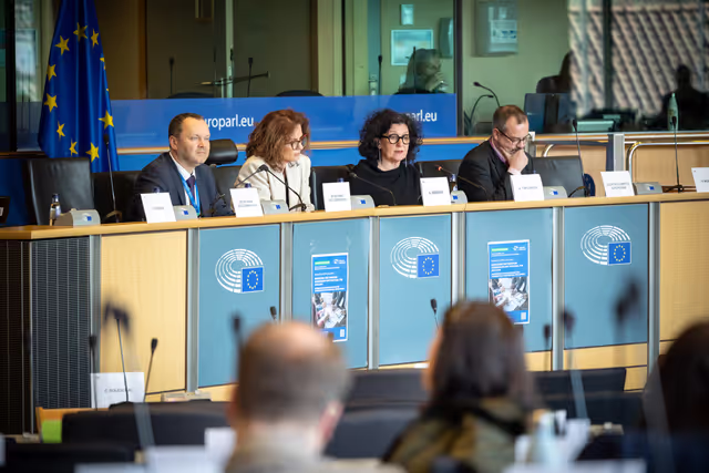 REGI - ECA Review 5/2025 on Smart specialization strategies, presentation by Annemie Turtelboom